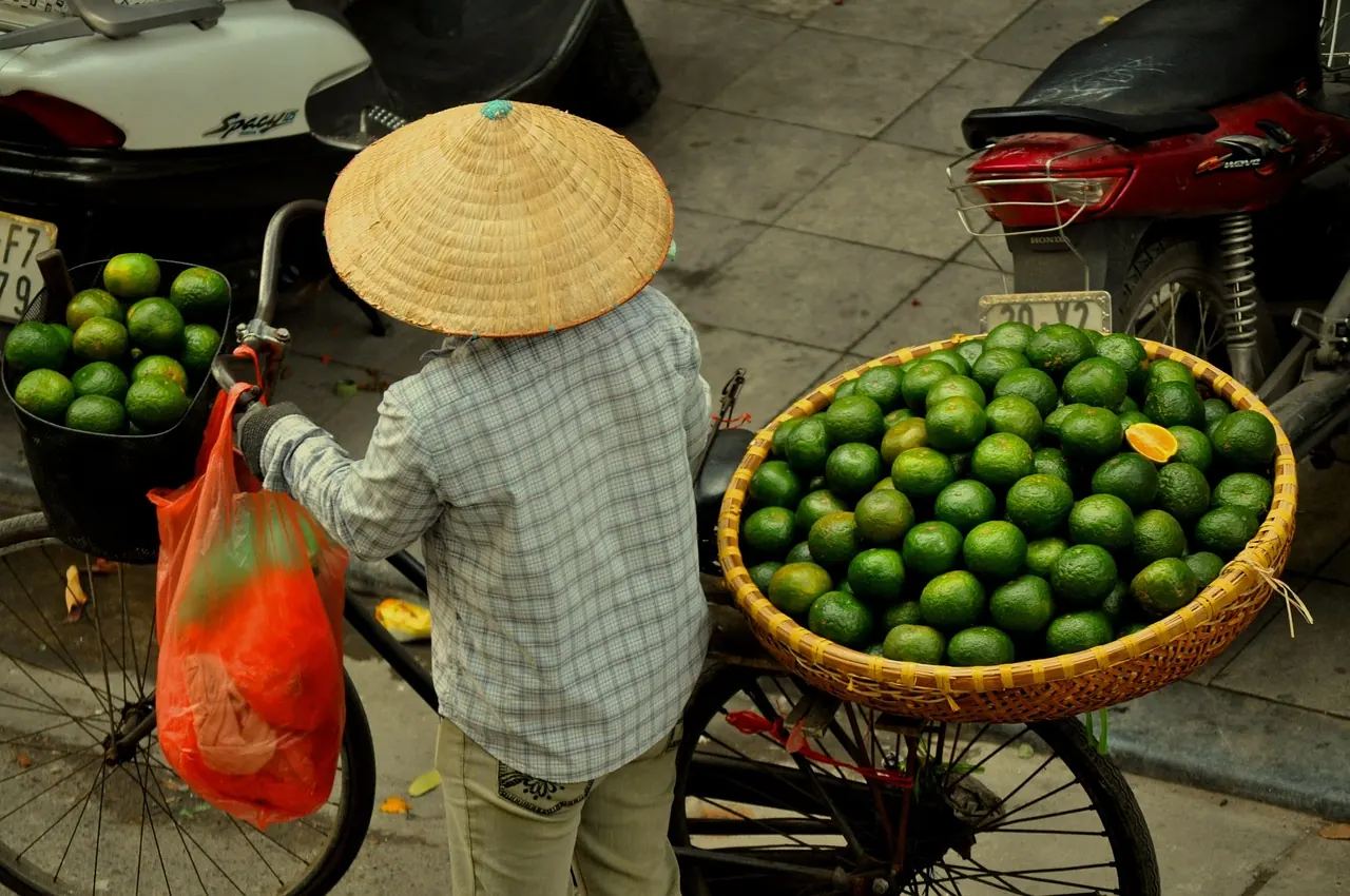 Người bán chanh đội nón lá với thúng hàng