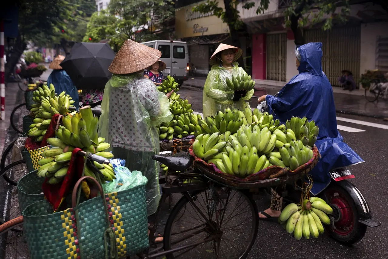 Người bán chuối và hoa quả bằng xe đạp trên phố