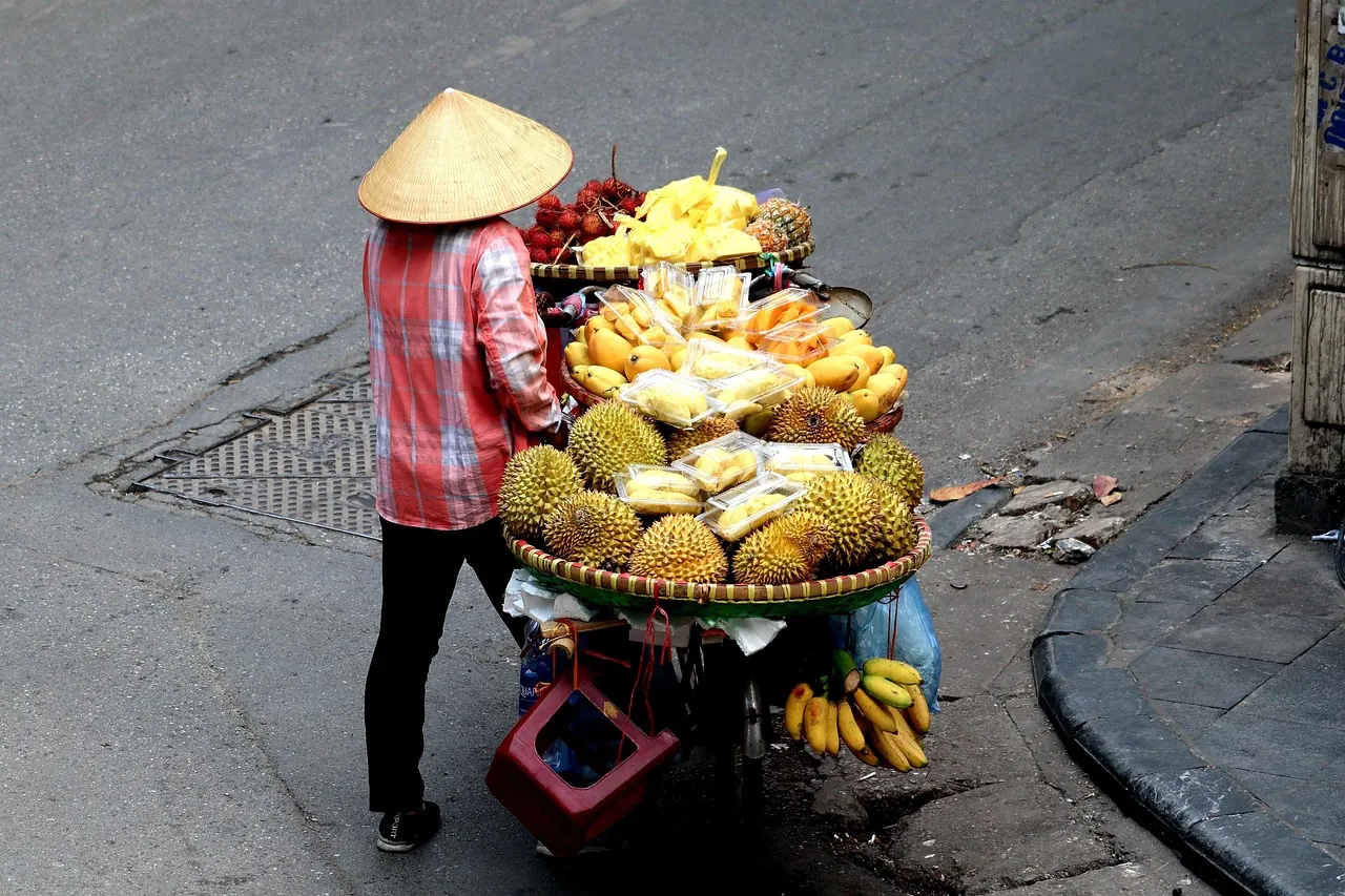 Người bán hoa quả đội nón trên phố