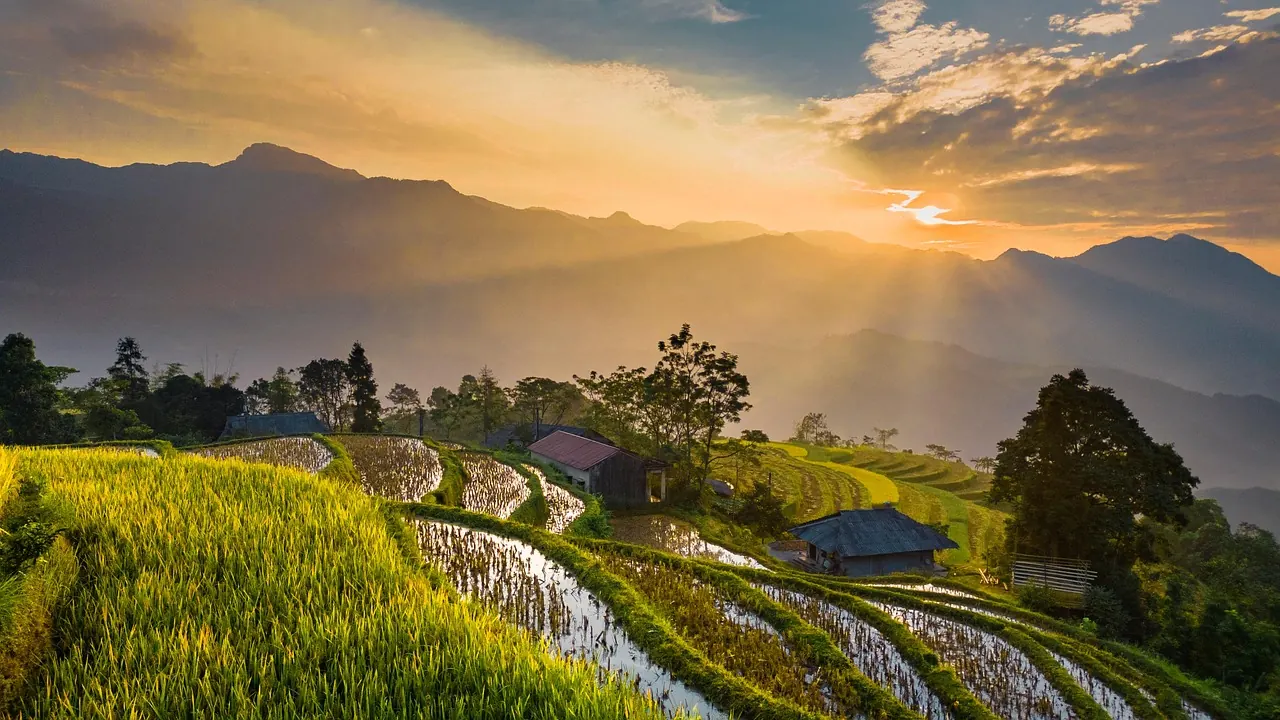 Hoạt động buôn bán, kinh doanh