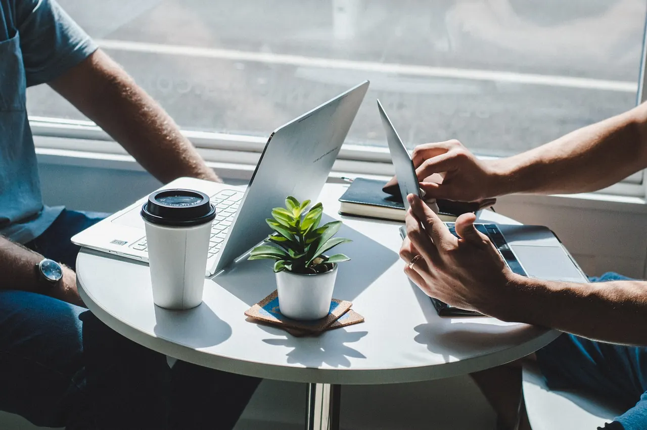 Nhóm làm việc với laptop quanh bàn tròn có chậu cây