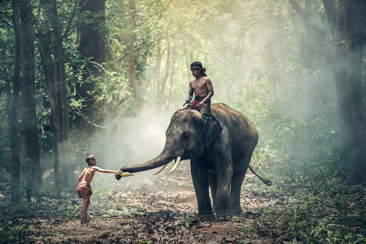 Hồ sơ, giấy tờ và thủ tục