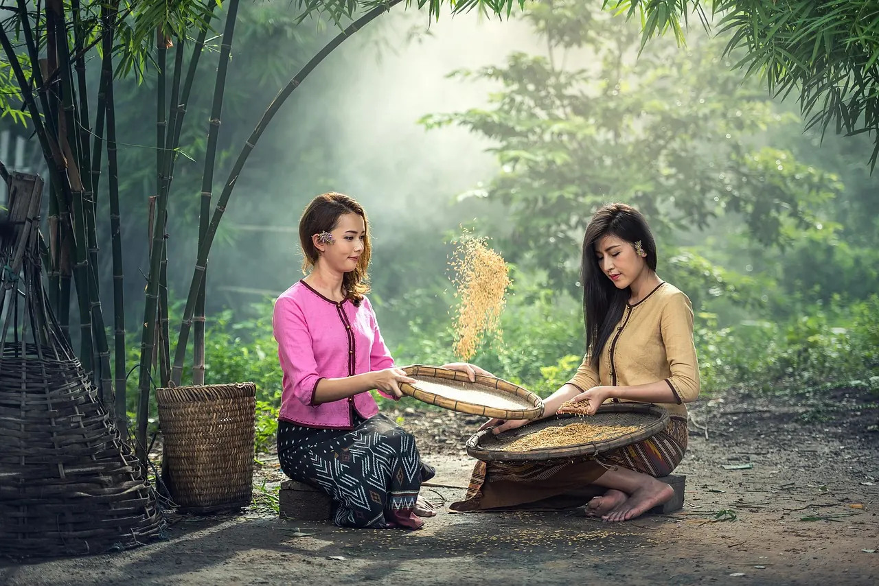 Nghiệp vụ kế toán – sổ sách và số liệu