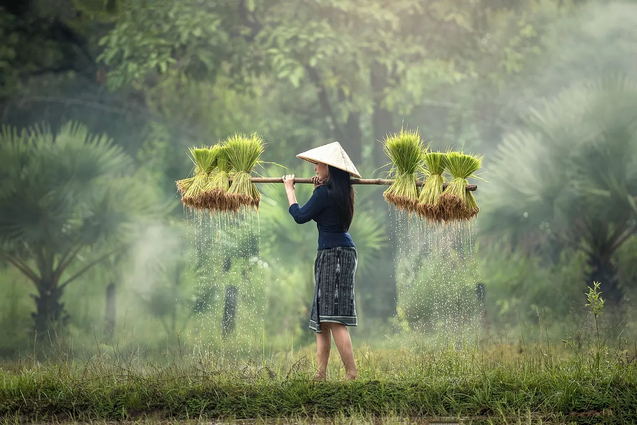 Ngành nghề sản xuất kinh doanh