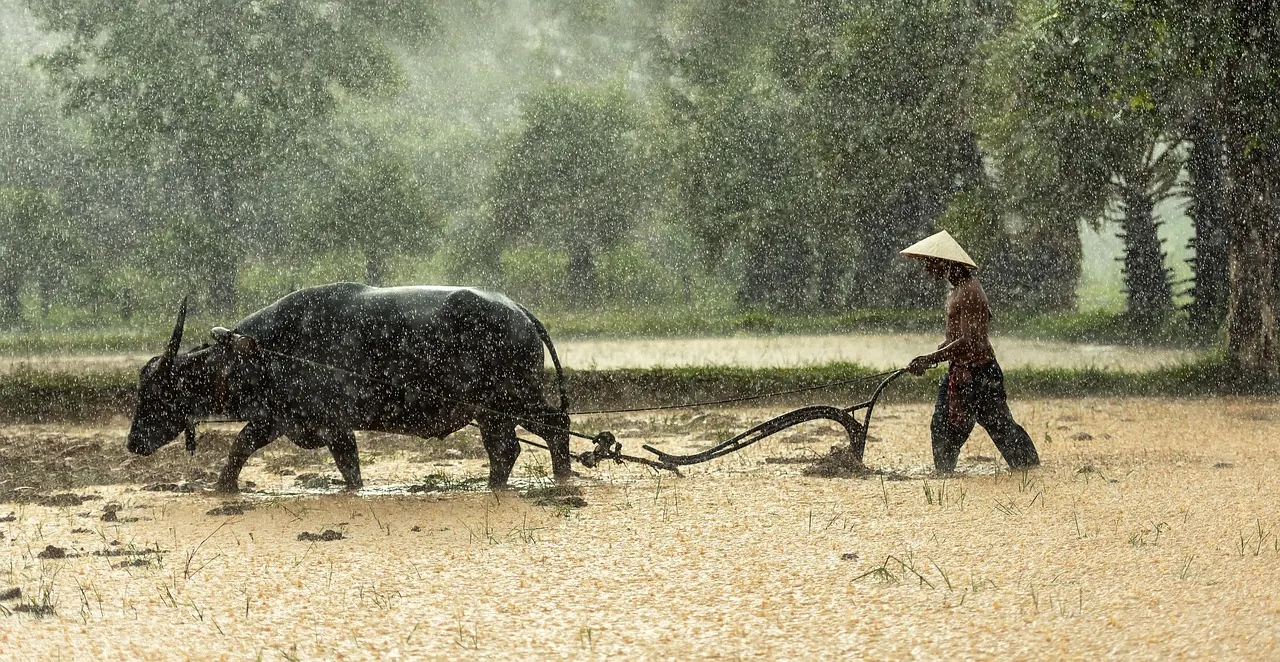 Ngành nghề sản xuất kinh doanh