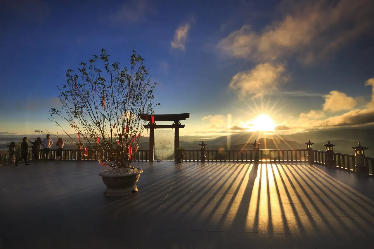Dòng tiền, chi phí và tài chính