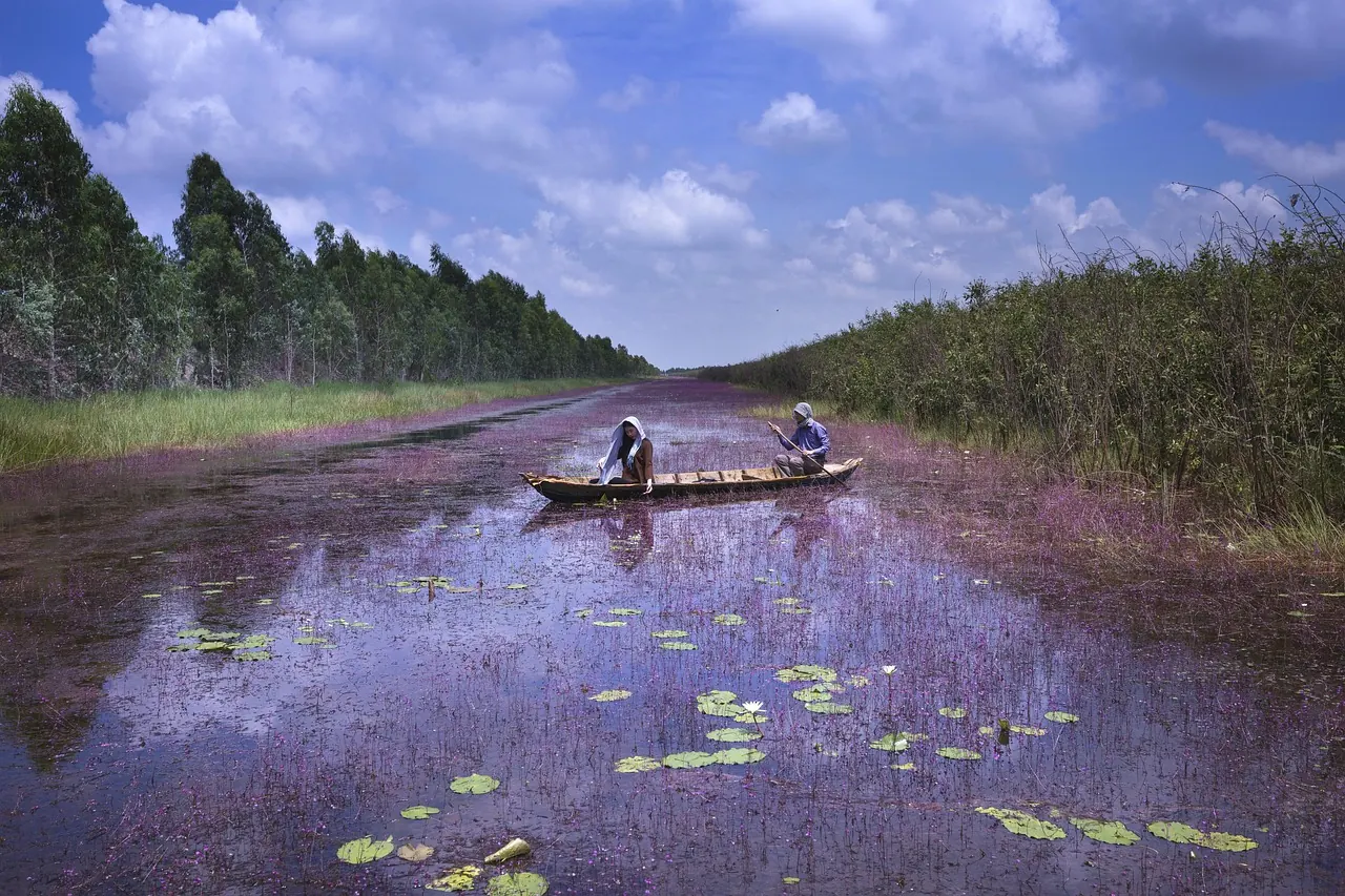 Dòng tiền, chi phí và tài chính