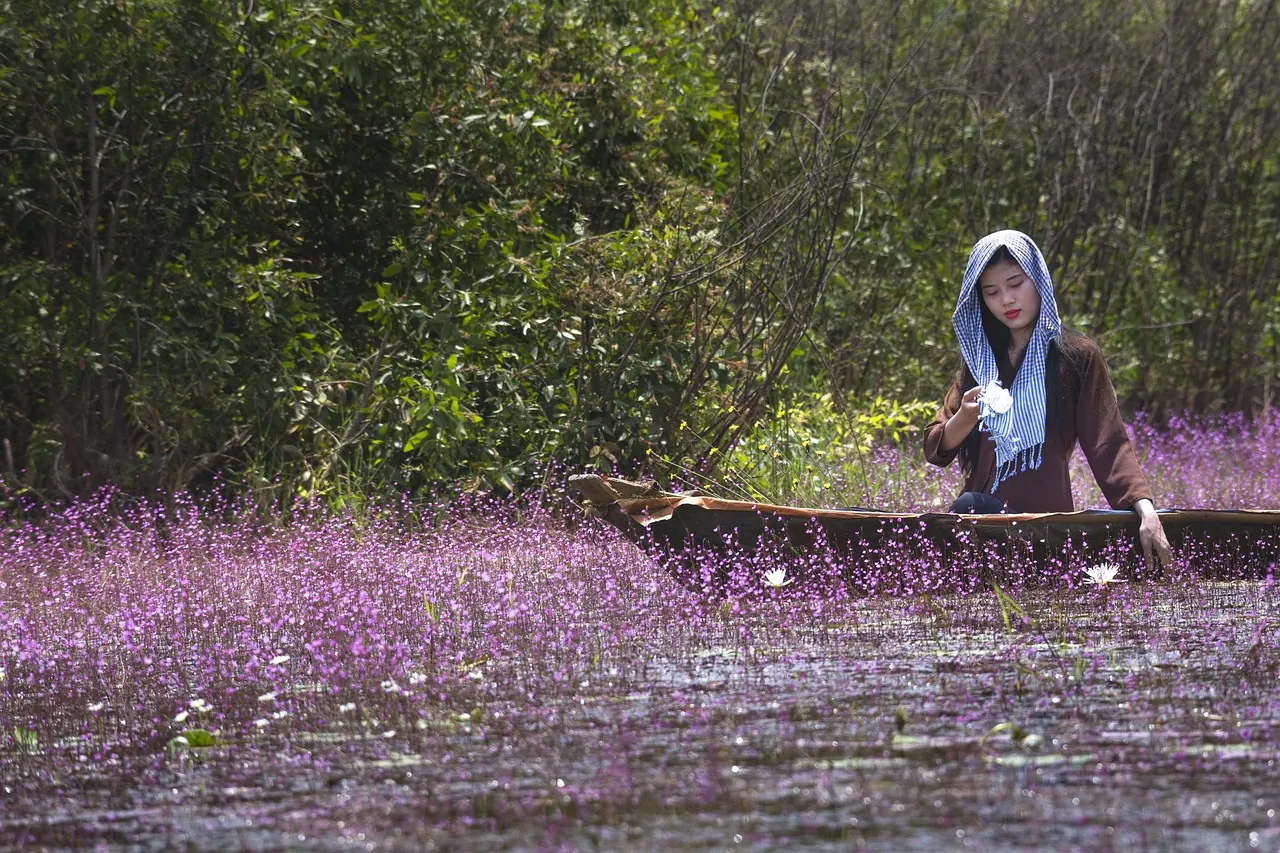 Dòng tiền, chi phí và tài chính