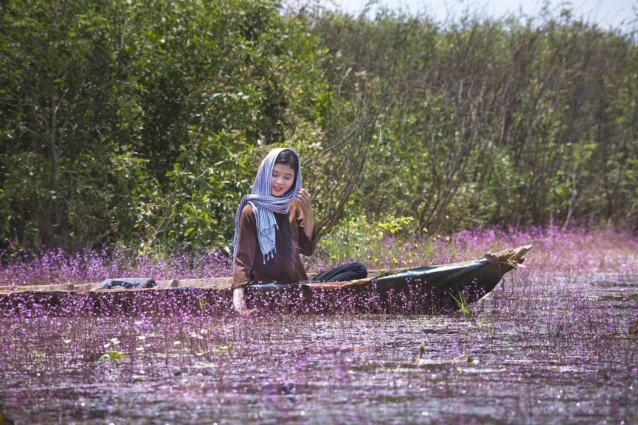 Dòng tiền, chi phí và tài chính