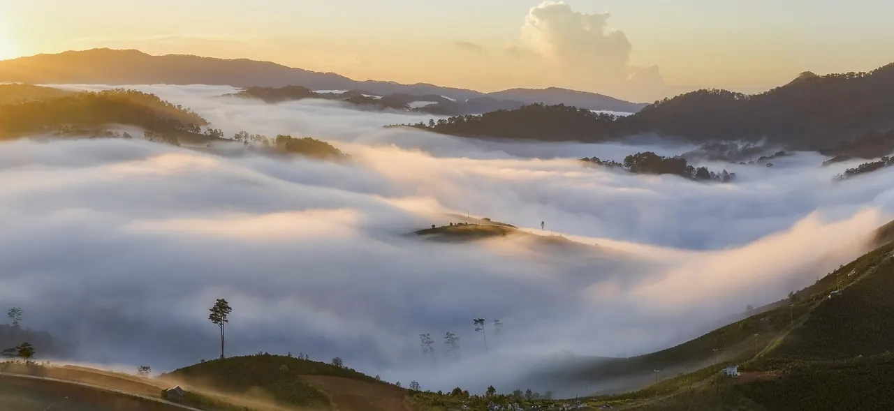 Dòng tiền, chi phí và tài chính
