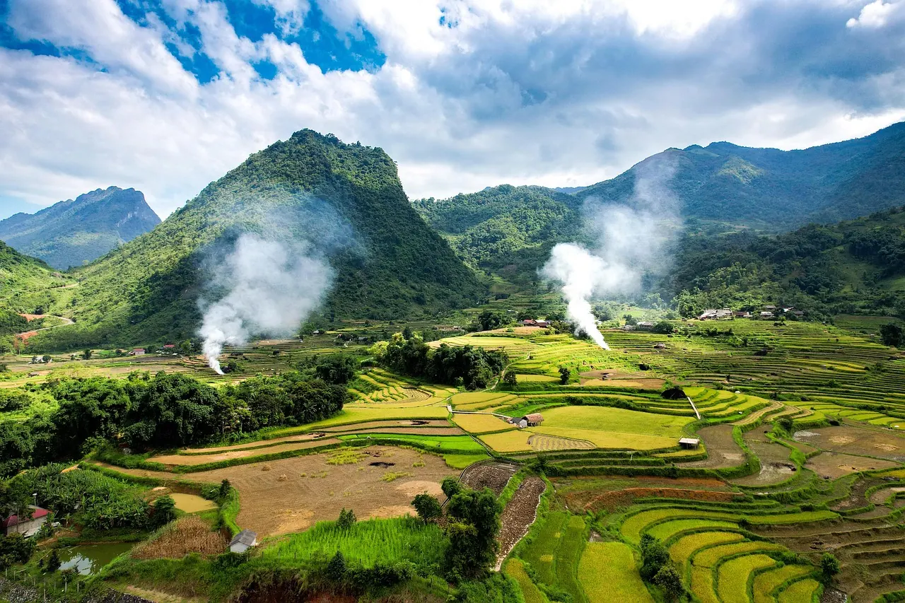 Dòng tiền, chi phí và tài chính